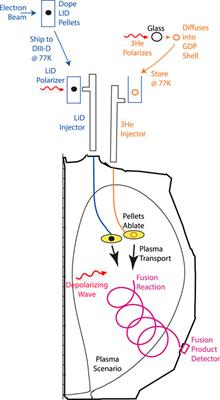 A research program to measure the lifetime of spin polarized fuel